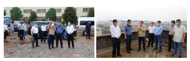 楊良鋒一行蒞臨公司調(diào)研