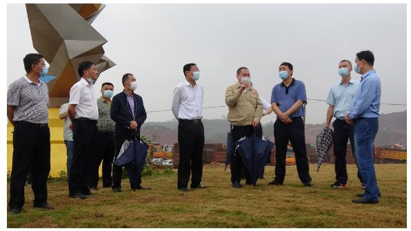 楊良鋒一行蒞臨公司調(diào)研